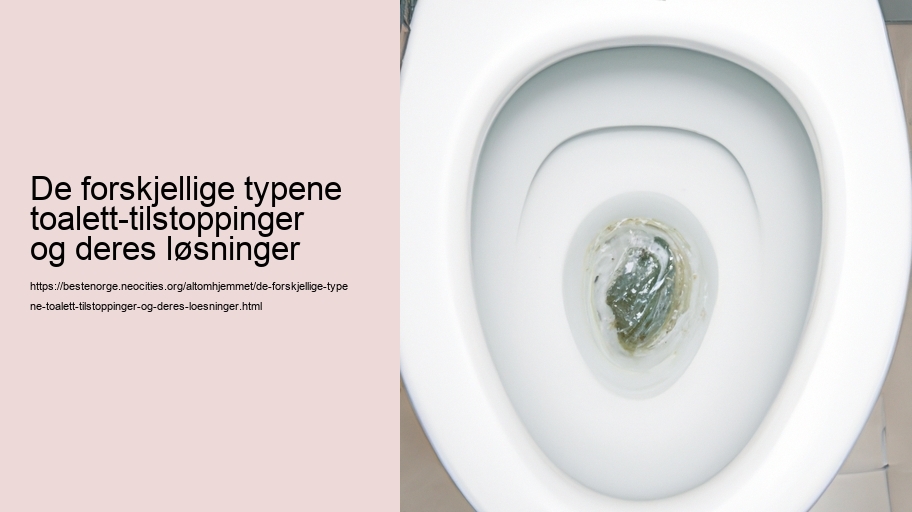 De forskjellige typene toalett-tilstoppinger og deres løsninger