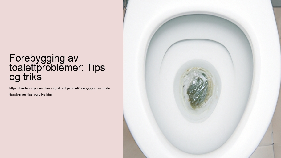 Forebygging av toalettproblemer: Tips og triks